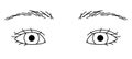 woman eyes, double eyelids eyes, epicanthal fold, Almond eyes ,outline illustration